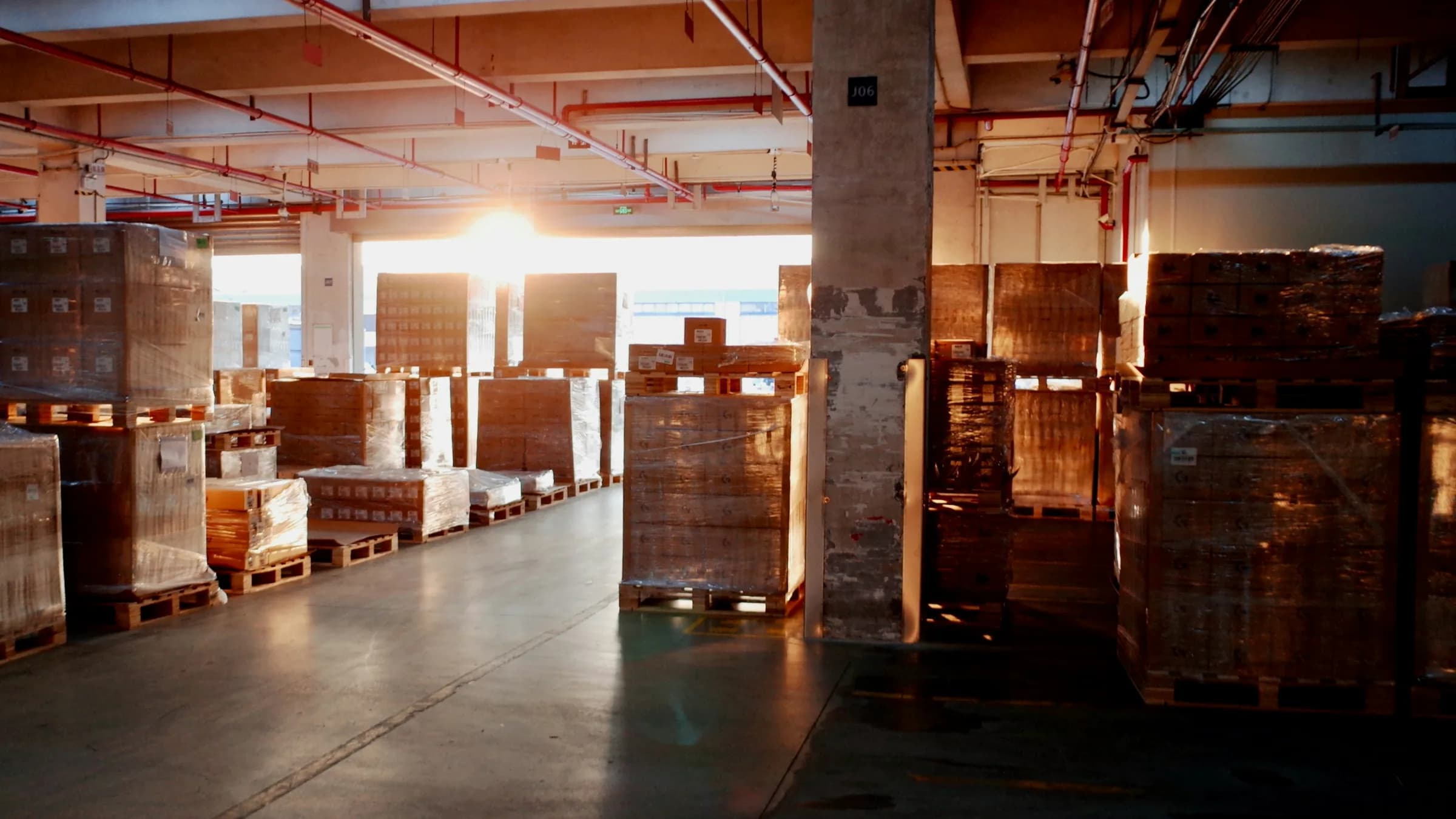 Shrink-wrapped pallets of cartons fill a warehouse floor as evening light comes through the loading door.